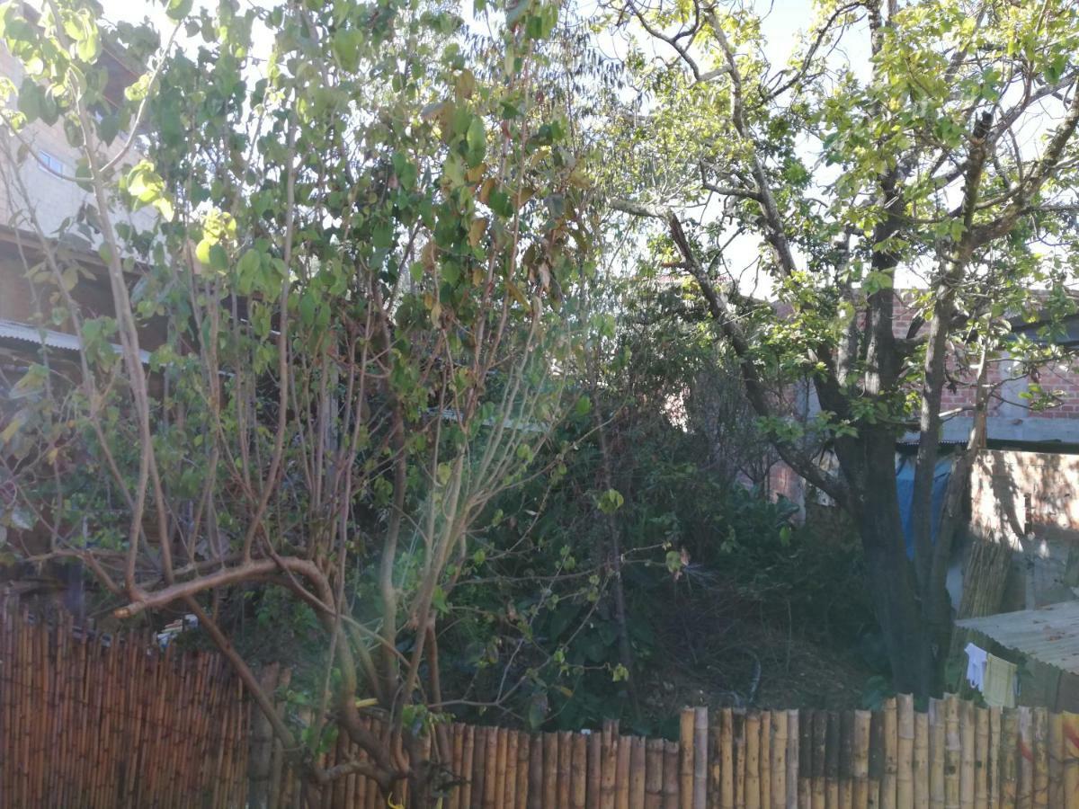 Hostel Aventura Chachapoyas Backpackers Exterior foto